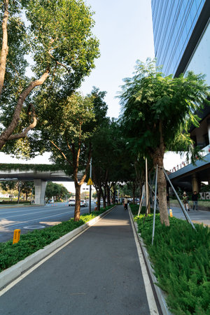 Urban sidewalk lined with trees beside modern glass building under clear sky