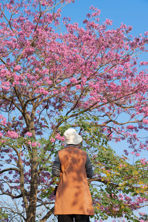 Person wearing white hat and brown vest standing under pink flowering tree against blue sky