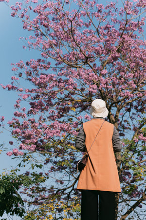 Woman in orange coat standing under pink flowering tree, back view against clear blue sky