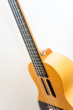Wooden ukulele with black fretboard and sound holes, close-up shot against white background