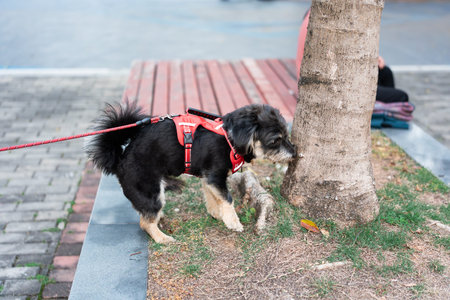 Black and tan dog wearing red harness sniffing tree trunk in urban park