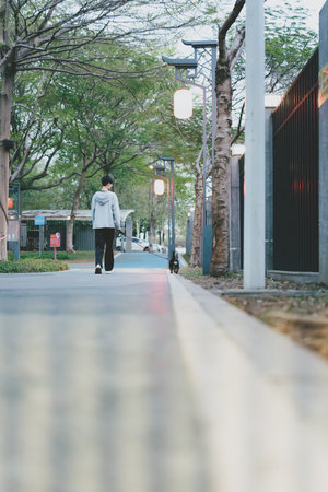 Person walking with small dog along tree-lined sidewalk in Taipei, Taiwan â€” urban street...