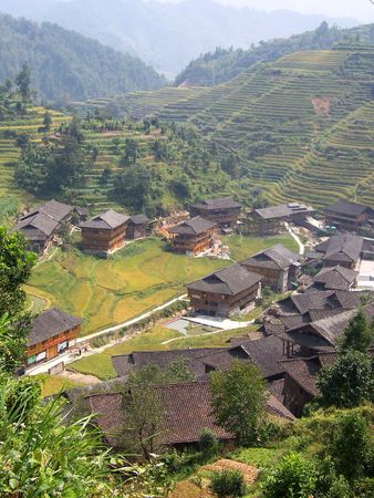 Field   guilingの写真素材