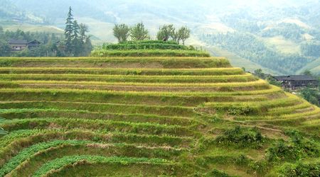 Terrace  guilingの写真素材