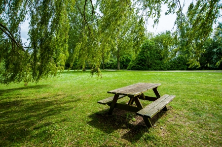 desk in the parkの写真素材