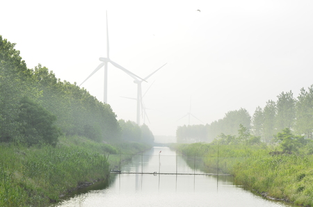 The morning scenery at Jiangsu Dafeng,China.の写真素材