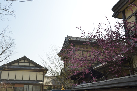 The spring scenery of Wuxi Nianhua Bay in China.の写真素材