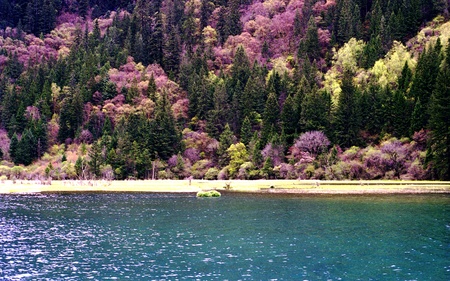 Jiuzhaigou sceneryの写真素材
