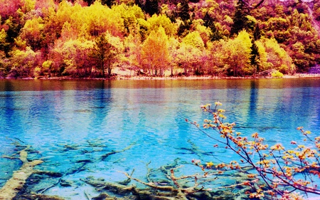 Jiuzhaigou sceneryの写真素材