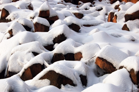 Early spring snowの写真素材
