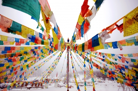 Tibetan customsの写真素材