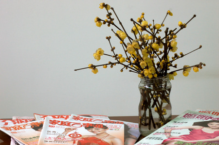 plum blossomのeditorial素材