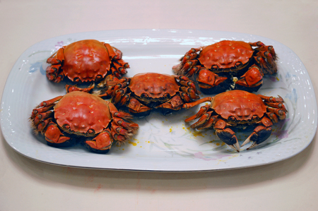 Steamed crabの写真素材
