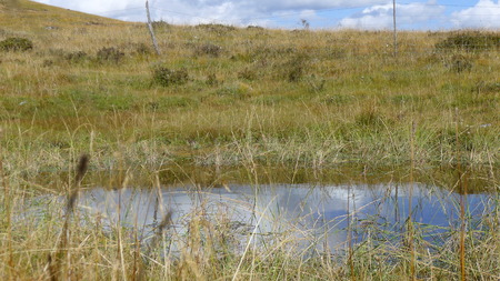 Langmusi grasslandの写真素材