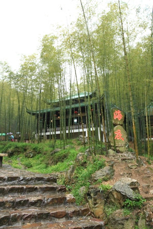 Bambooの写真素材