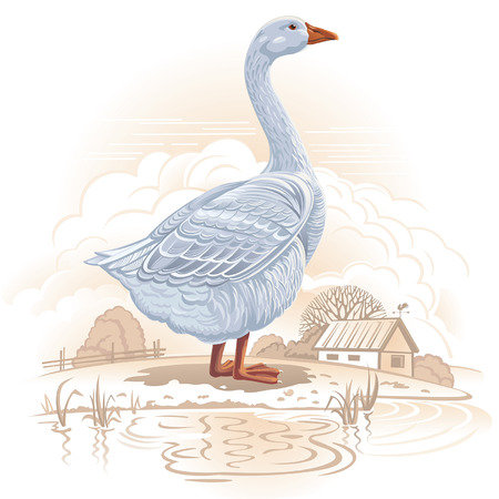 Graphical gooseのイラスト素材