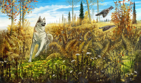 Huntingの写真素材