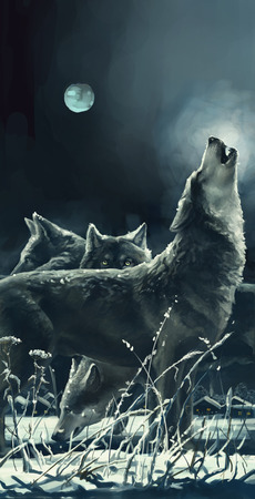 Wolvesの写真素材