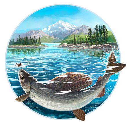 Fishingの写真素材