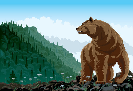 Bear in mountain landscape rises on a grief.のイラスト素材