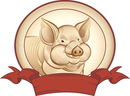 Graphical pig. Vector object to label or trademarks.のイラスト素材