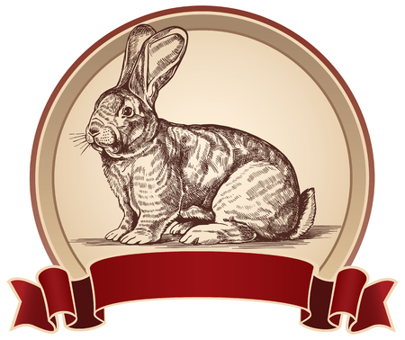 Graphical rabbit in a frame. Label elements.のイラスト素材
