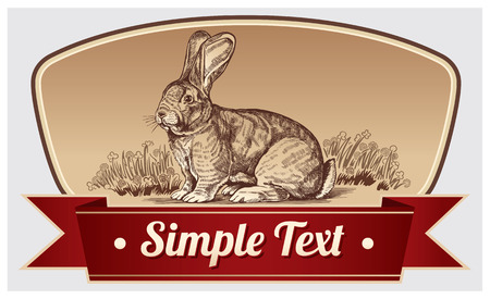 Illustration rabbit in a frame.のイラスト素材