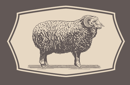 Graphical Ram, Sheepのイラスト素材