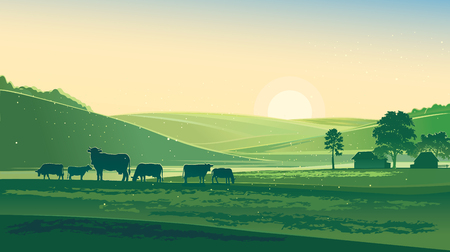 Summer morning. Rural Landscape and cows.のイラスト素材