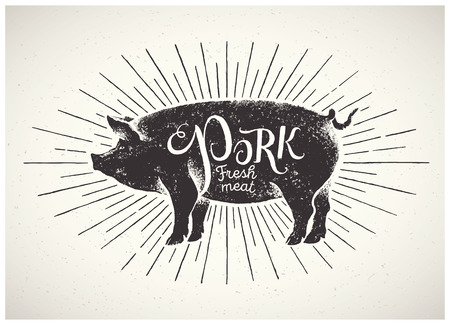 Graphic pig, pork label drawn by hand.のイラスト素材