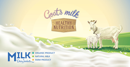 Rural landscape with goat and kid, splash of milk as a design element.のイラスト素材