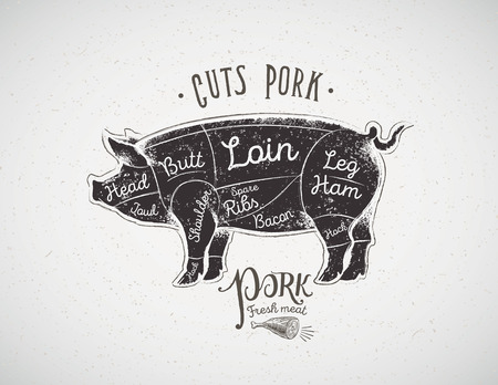 Graphic silhouette of a pig with the line of cutting for the butcher.のイラスト素材