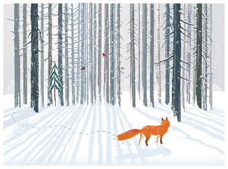 Winter forest landscape with a Fox.のイラスト素材