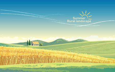 Rural landscape with wheat field and house on the hill. Vectoran illustration.のイラスト素材