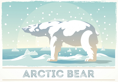 Polar bear stands on the snow  looking into the distance.のイラスト素材