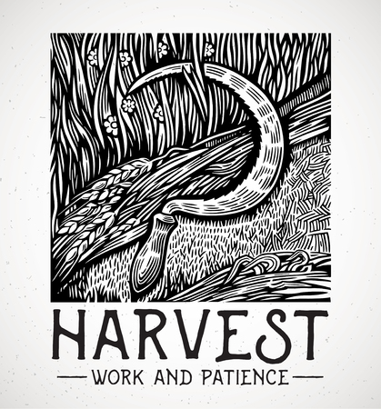 Graphic illustration of a sickle lying on a field among mowed grassのイラスト素材