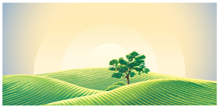 Rural dawn landscape with fields and a lonely tree.のイラスト素材