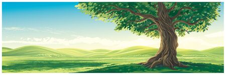 Summer landscape with hills and an old lone tree in the foreground.のイラスト素材