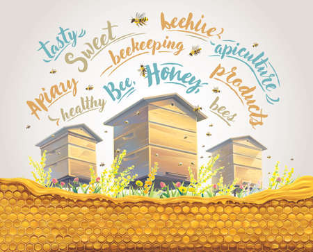 Bee hives with honeycomb in the foreground and with flying bees, as well as thematic inscriptions as a design element.のイラスト素材