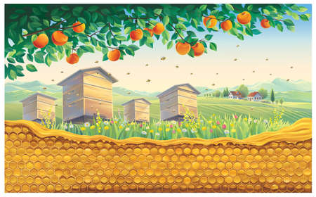 Bee apiary with honeycomb in the foreground against the background of a rural landscape with a village. vector illustration.のイラスト素材
