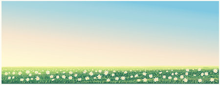 Rural landscape with flowering meadow with a carpet of large flowers in the foreground. vector illustration.のイラスト素材
