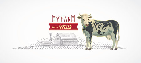 Cow, drawn in color, and of a rural landscape with a farm, illustration in a graphic style, with a reference of design packaging.のイラスト素材