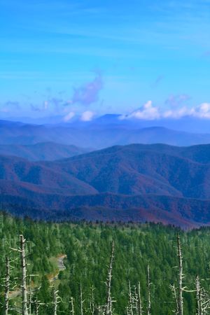 Great Smoky Mountains, USA の写真素材