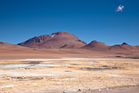 frozen lagoon in Atacama desert, Chile