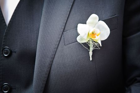 orchid on the suitの写真素材