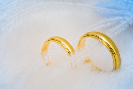 golden wedding rings in feathersの写真素材