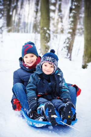 two happy brothers on sledの写真素材