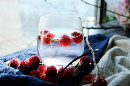 Flower tea in a cupの写真素材