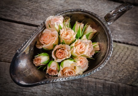 cream pink roses in old metal bowl on grunge wooden backgroundの写真素材
