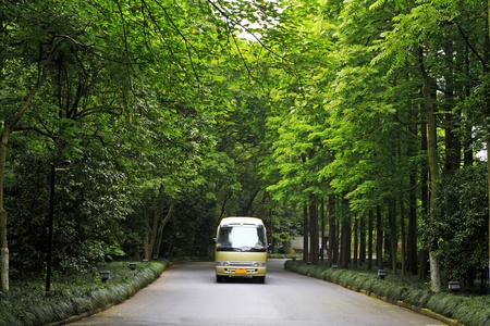 a car driving on a stone walkway witch winding through a tranquil garden のeditorial素材
